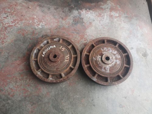 Veleno škyvai Renault Laguna 2003 m. 1.9 DCI