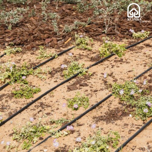 Laistymo sistemos šiltnamiui, sodui, daržui