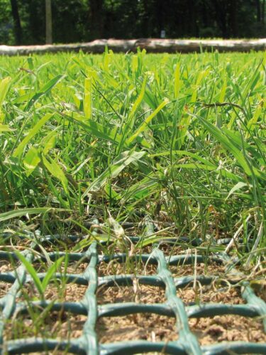 Tr Flex žemės sustiprinimo tinklas