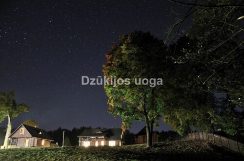 Sodybos nuoma – Dzūkijos uoga