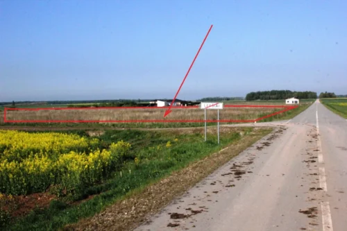 Sklypai Pamolainių g.Lepšių k.Panevėžio r.